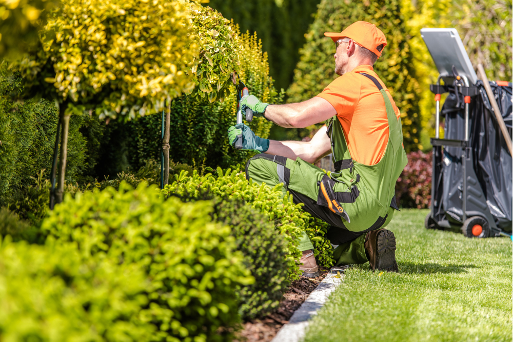 landscape services singapore