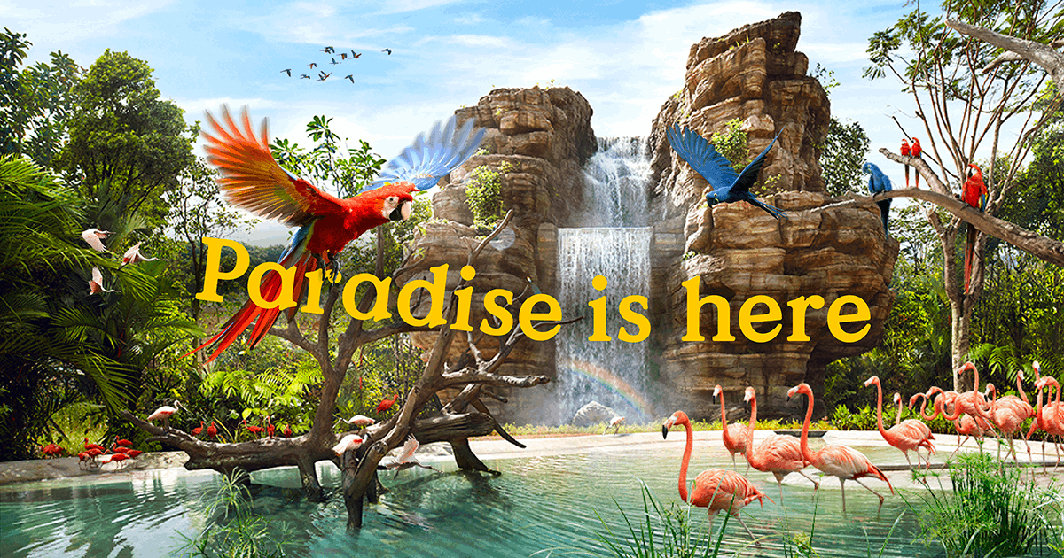 bird paradise singapore