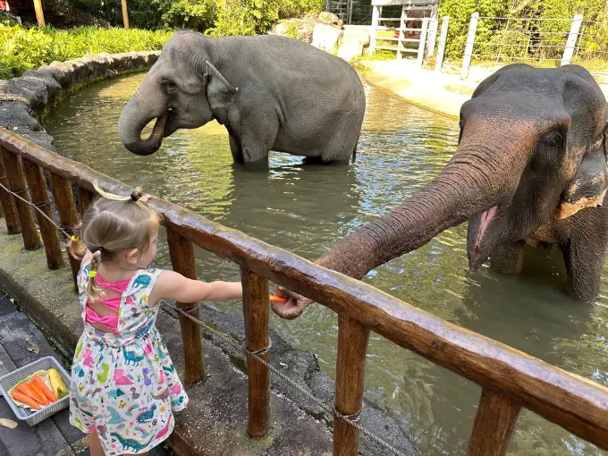 singapore zoo opening hours